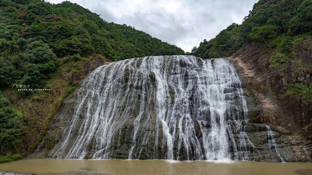 迷失在荒野